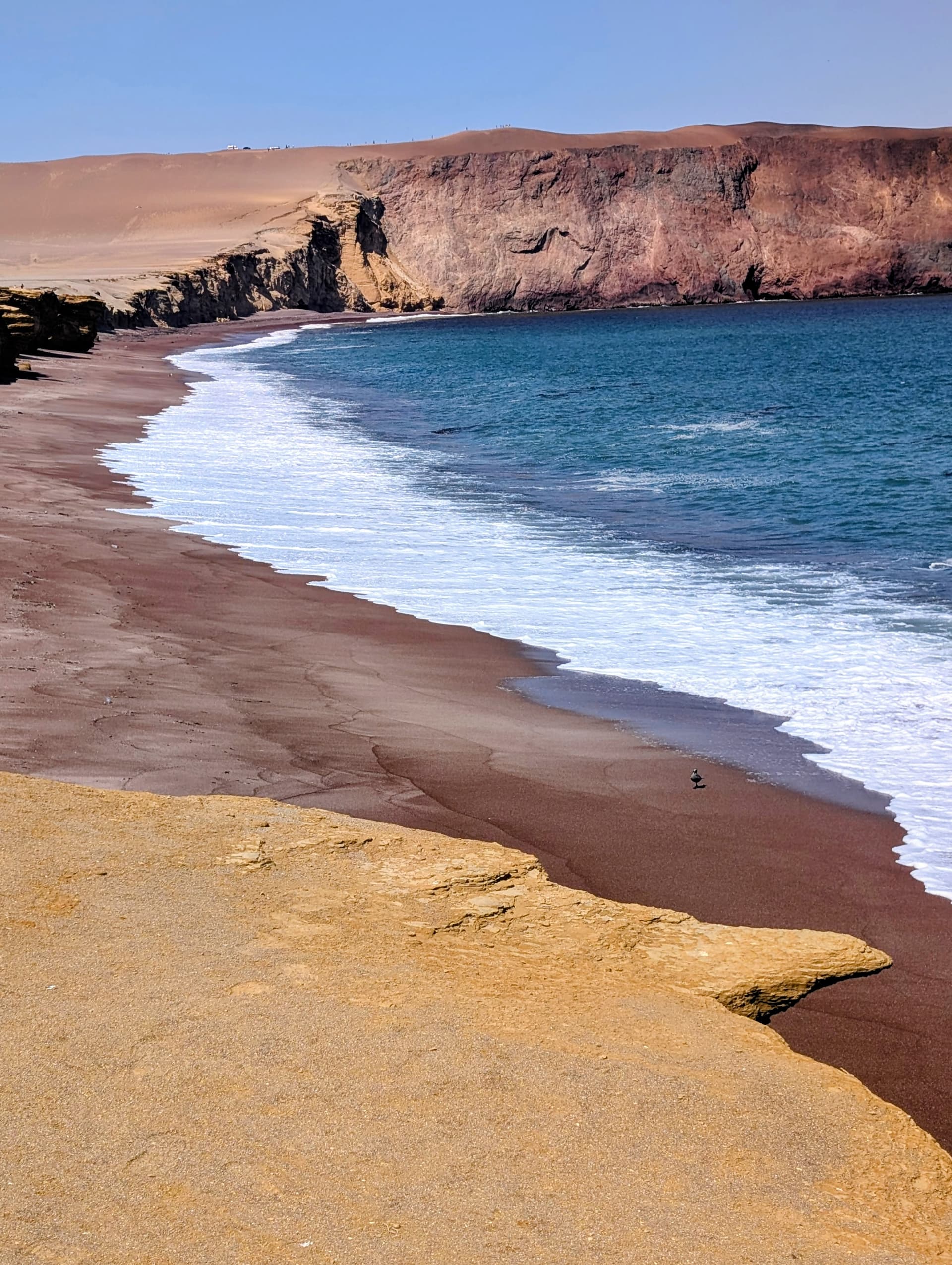 Paracas : Notre escapade de 2 jours, entre désert en scooter et faune marine